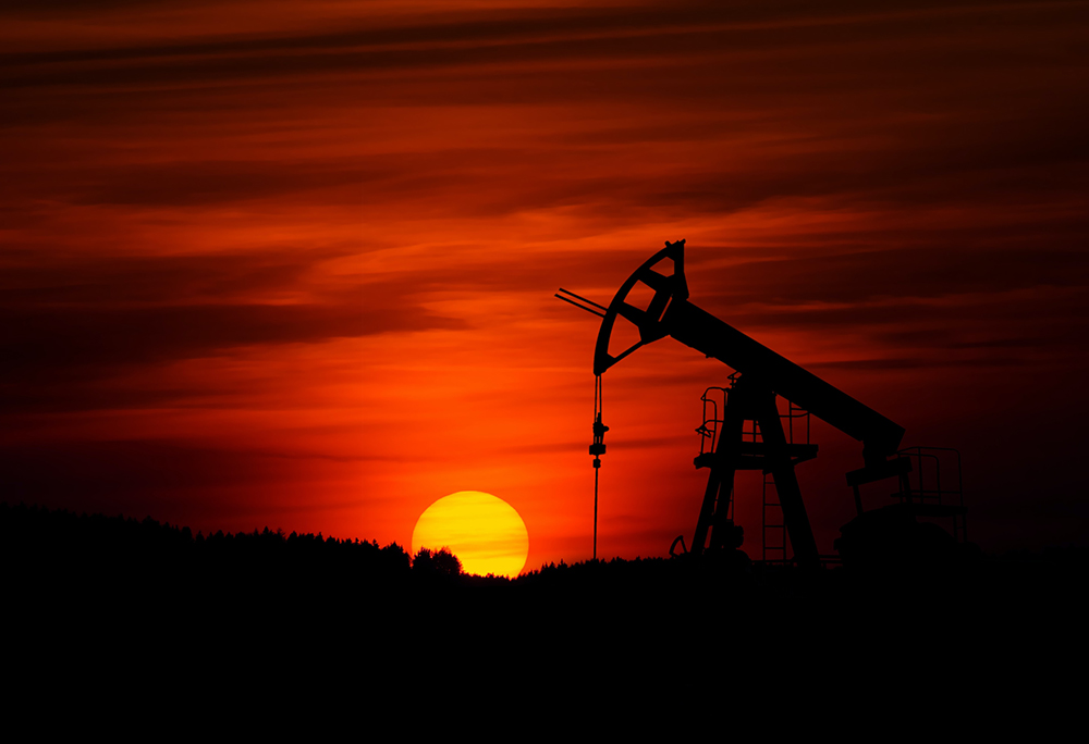Opponents of SA's oil and gas exploration – Perkins's economic hitmen on our doorstep - Vimarsana News