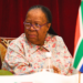 Naledi Pandor, antisemitism and the laundering of political language